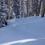 Powder skis, ski rental, Mary Jane, Winter Park, Snowboard Rental, Ski Rental
