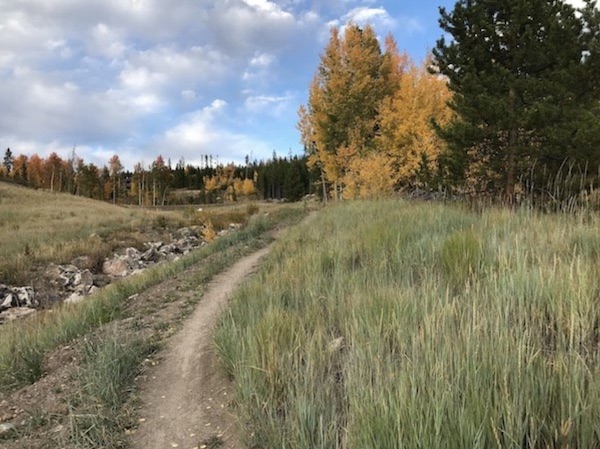 Fall Image Fall mountain biking trails in Winter Park Colorado.