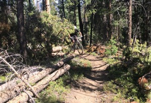 Rider on Broken Thumb Trail in Winter Park